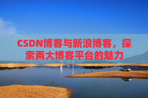 CSDN博客与新浪博客,探索两大博客平台的魅力